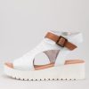 Shoes DJANGO & JULIETTE | Oliza White Dark Tan Leather Sandals Ws