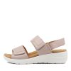 Shoes ZIERA | Nyle Xw Seashell Leather Sandals