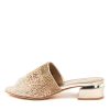 Shoes DJANGO & JULIETTE | Tamarin Champagne Multi