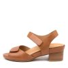 Shoes ZIERA | Ava Xw Tan Leather