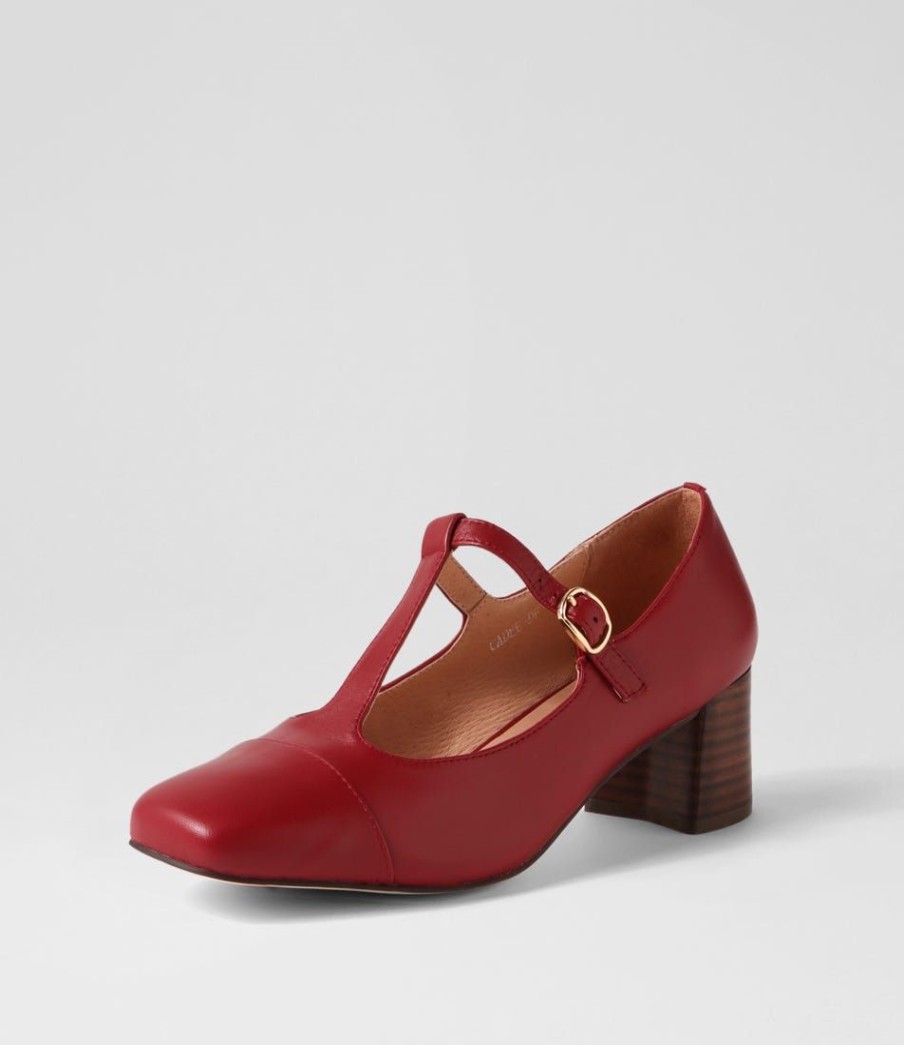 Shoes DIANA FERRARI | Cadee Plum Leather Heels