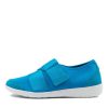 Shoes ZIERA | Urban Ff Turquoise Neoprene Sneakers