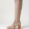 Shoes MOLLINI | Sari Taupe Stretch Microsuede Knee High Boots