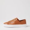 Shoes DIANA FERRARI | Oaks Dark Tan Leather Sneakers