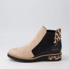 Shoes DJANGO & JULIETTE | Rejin Light Taupe Black Suede Multi Chelsea Boots